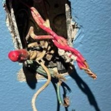 Receptacle-Repair-in-Houma-LA-Restoring-Power-to-a-Home 0